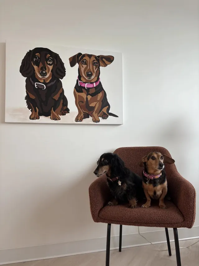 Honey Bee & Otis, therapy dog in training